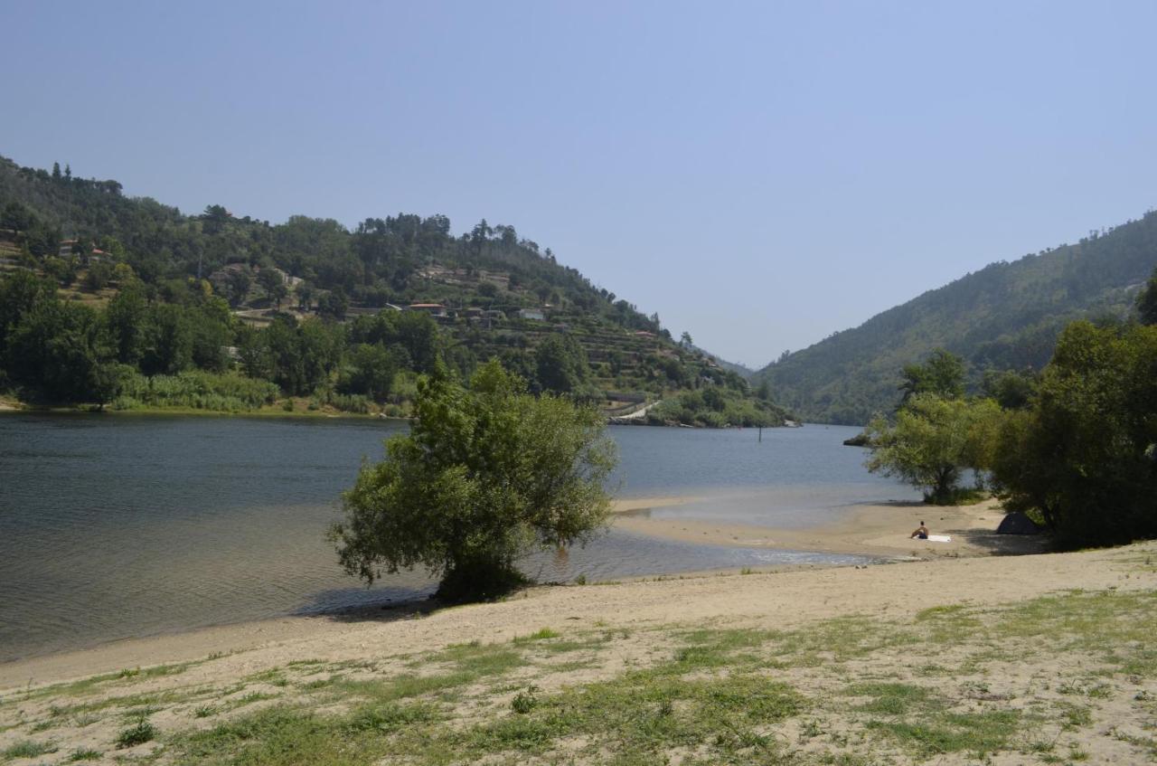 Vila Encosta Do Douro - Rio Douro Cinfães Exteriér fotografie