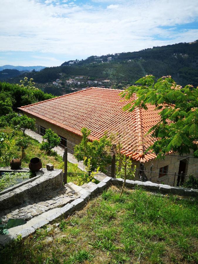 Vila Encosta Do Douro - Rio Douro Cinfães Exteriér fotografie