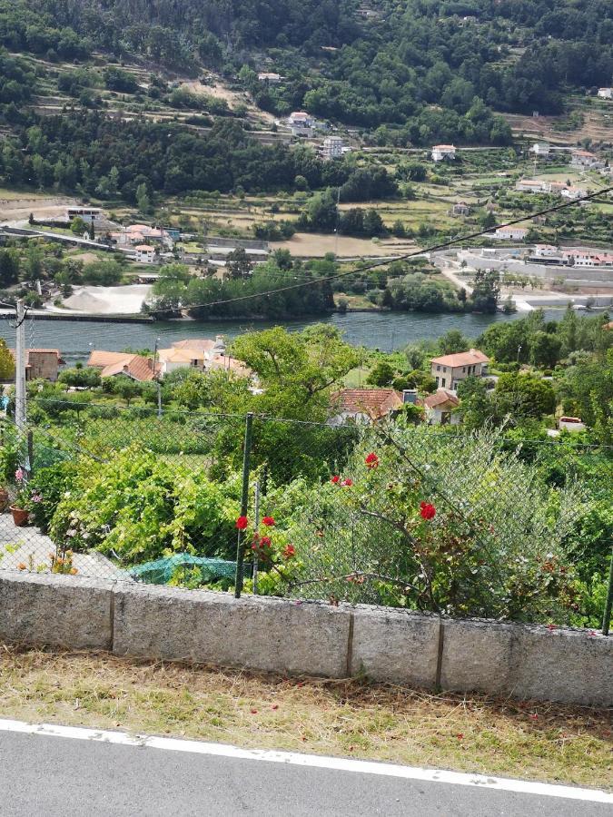 Vila Encosta Do Douro - Rio Douro Cinfães Exteriér fotografie