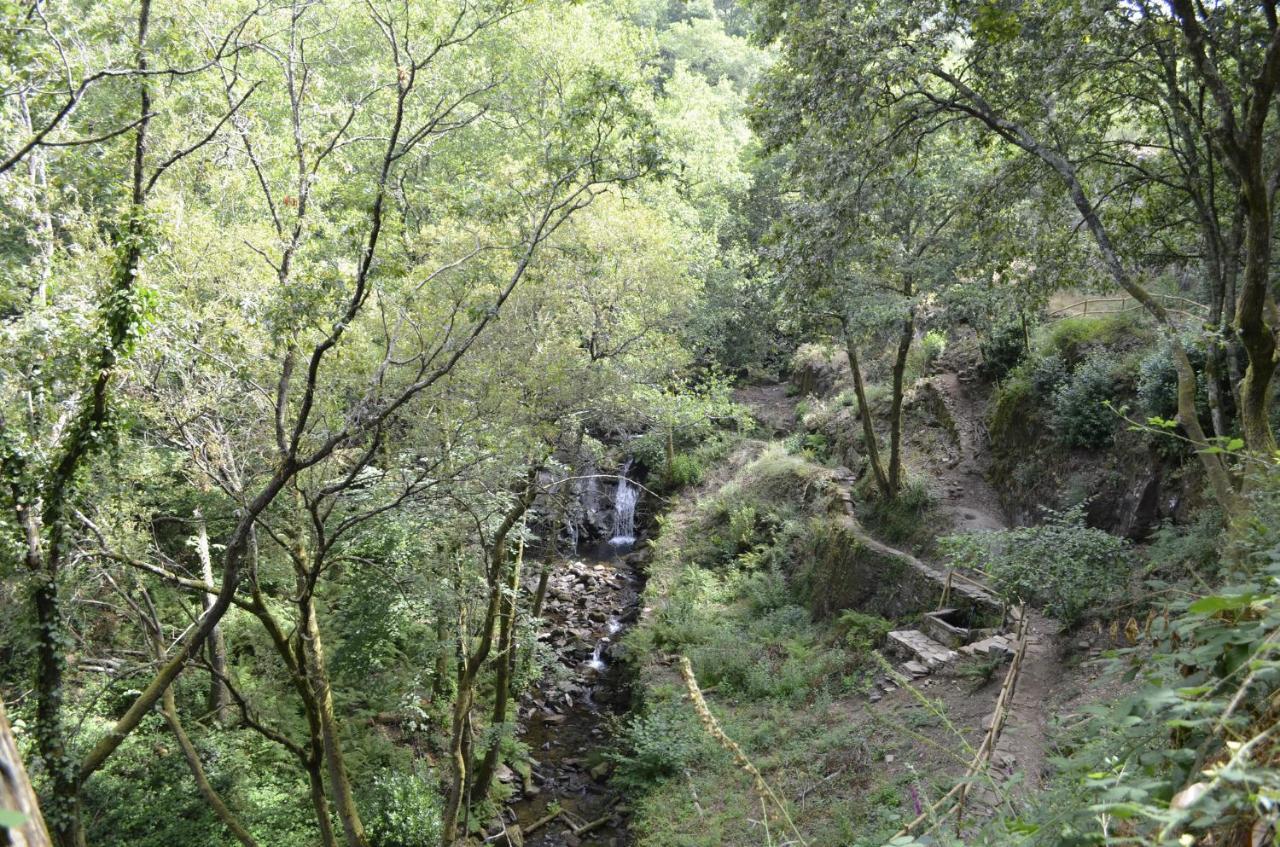 Vila Encosta Do Douro - Rio Douro Cinfães Exteriér fotografie