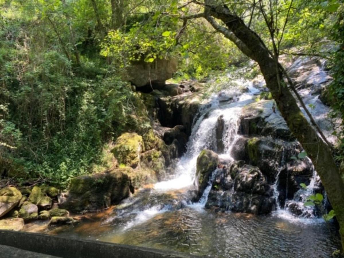 Vila Encosta Do Douro - Rio Douro Cinfães Exteriér fotografie
