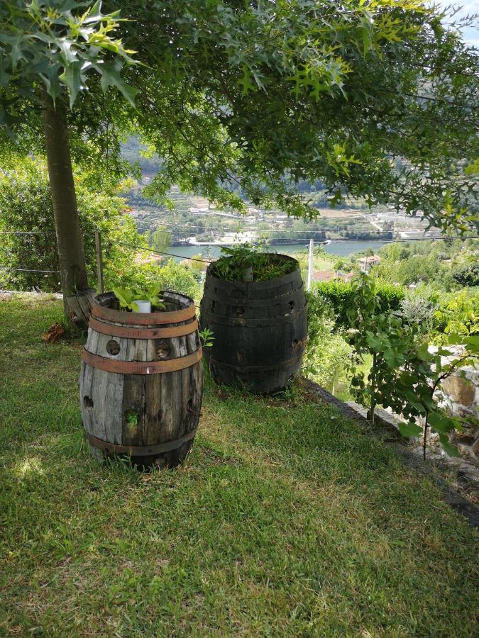 Vila Encosta Do Douro - Rio Douro Cinfães Exteriér fotografie