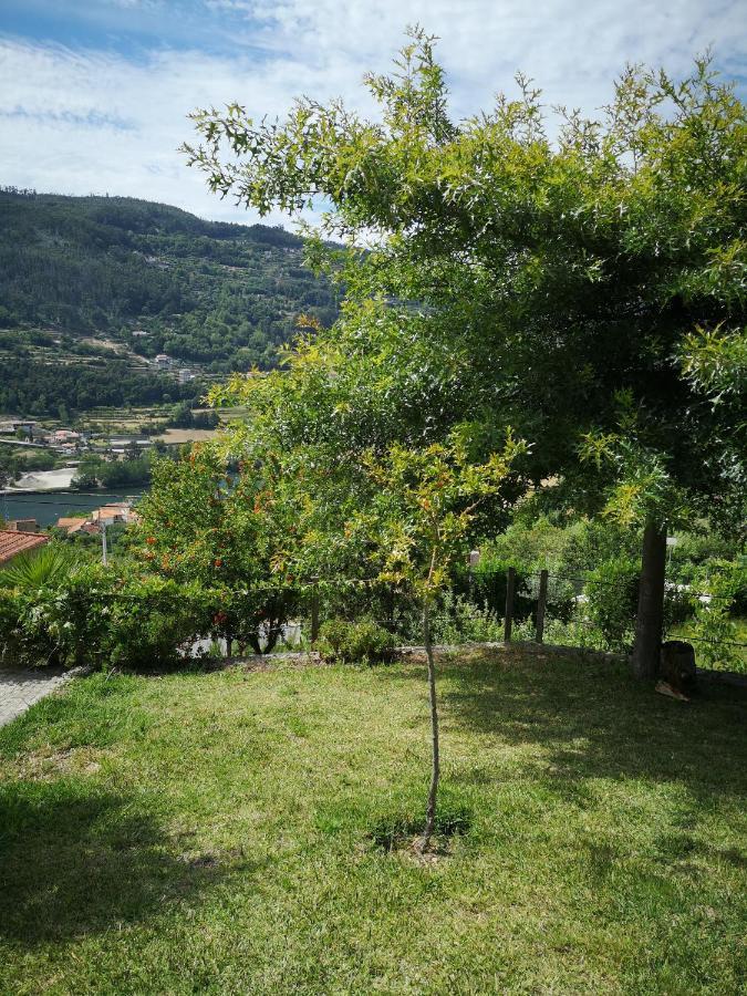 Vila Encosta Do Douro - Rio Douro Cinfães Exteriér fotografie
